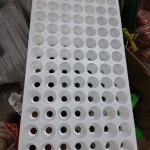 Vỹ Uơm Bằng Mút