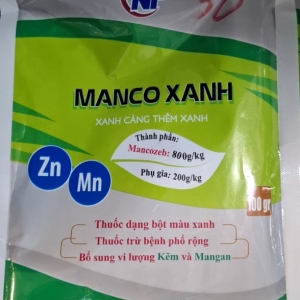 MANCO XANH  100gr
