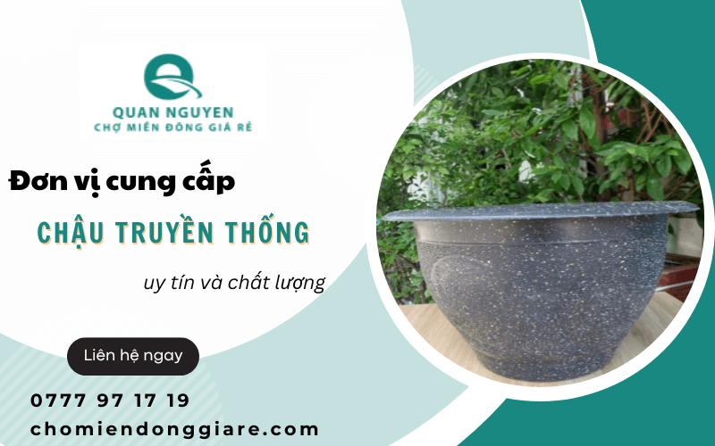Chậu truyền thống