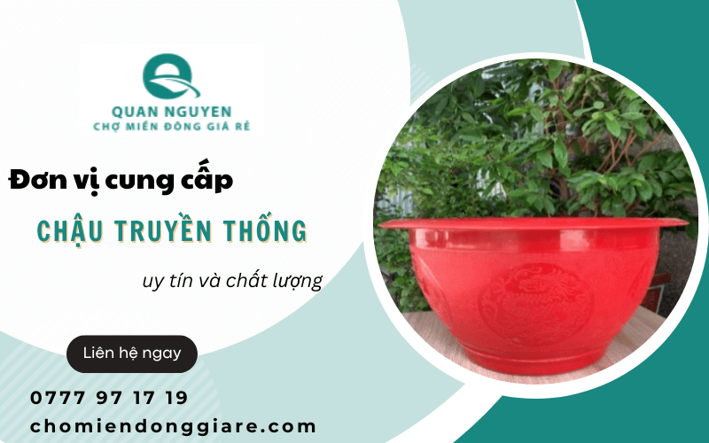 Chậu truyền thống