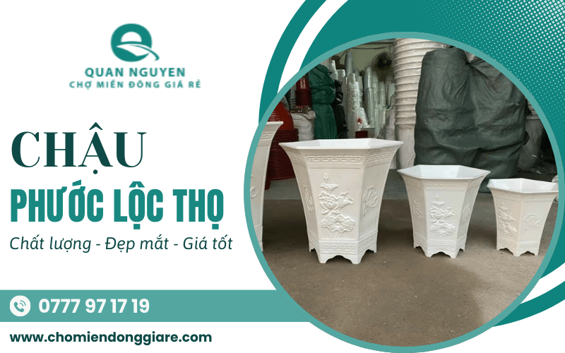 chậu Phước Lộc Thọ