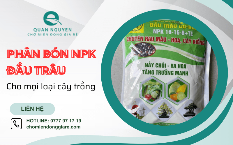 phân bón NPK Đầu Trâu
