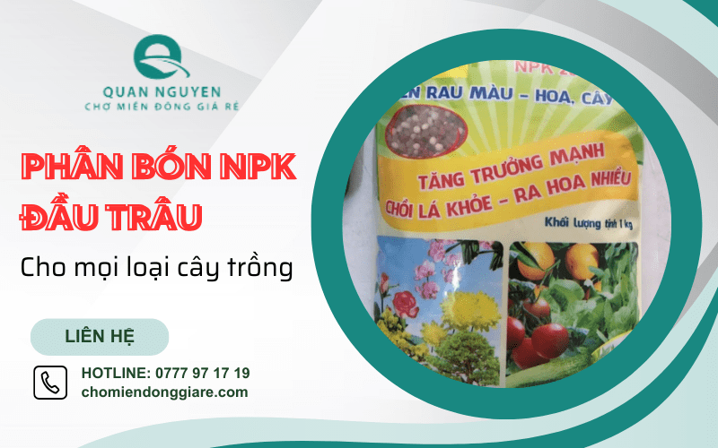 phân bón NPK Đầu Trâu