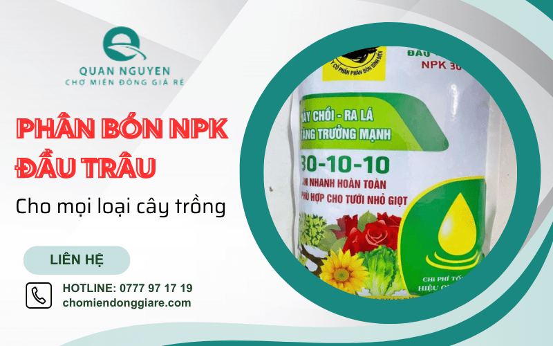 phân bón NPK Đầu Trâu