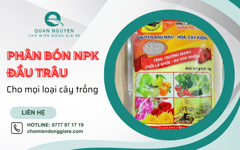 phân bón NPK Đầu Trâu