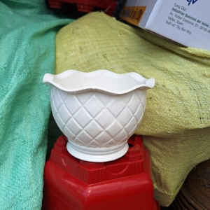 CHÂU TRÁI DỨA