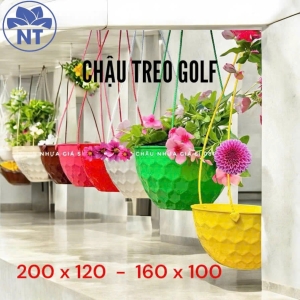 chậu treo GOLF