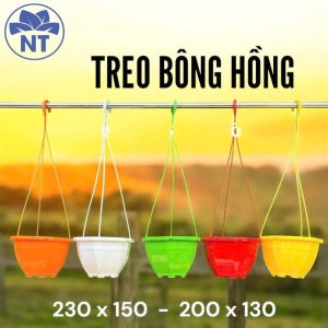 Chậu Treo Bông Hồng