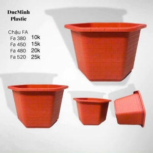 Chậu Chuyên cho Hoa Hồng, Hoa Giấy