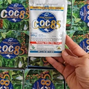 Cóc 85 nấm bệnh