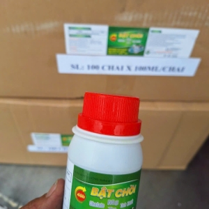 Bật Chồi chai