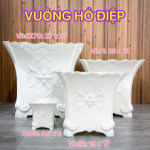 Vuông Hồ Điệp 