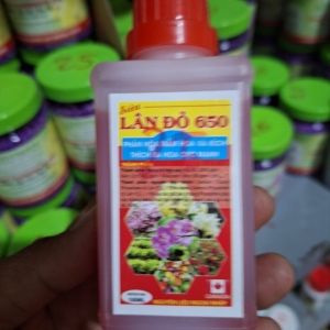 Lân Đỏ
