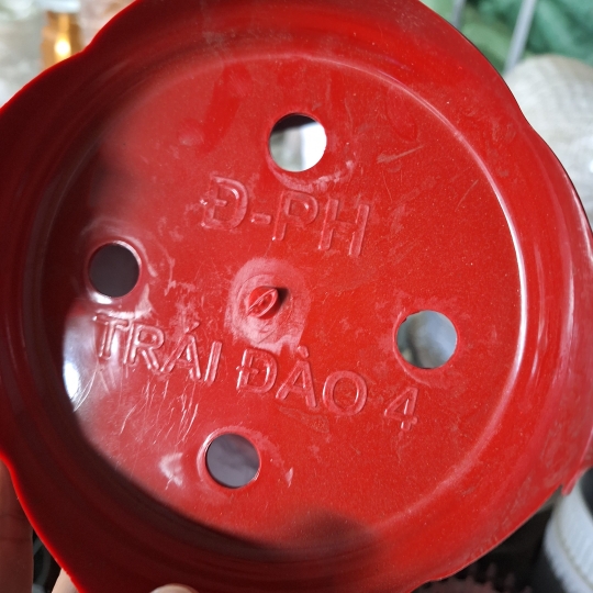 Chậu 3 chân Trái Đào 4 đỏ