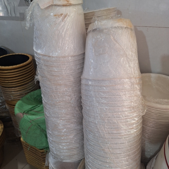 Chậu Bom  Đĩa 155  X 125