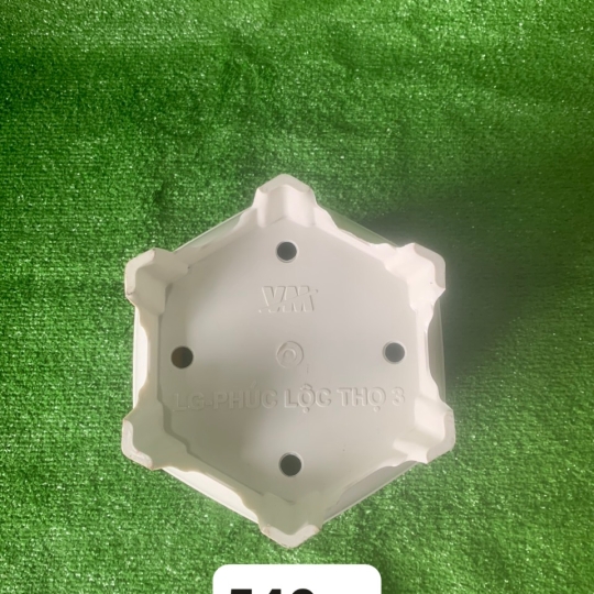CHẬU PHƯỚC LỘC THỌ 3