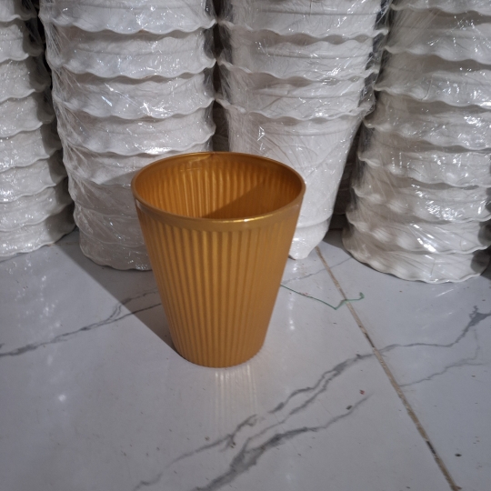 Chậu Sọc vàng