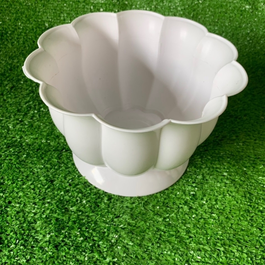 CHẬU TRÁI BÍ 01