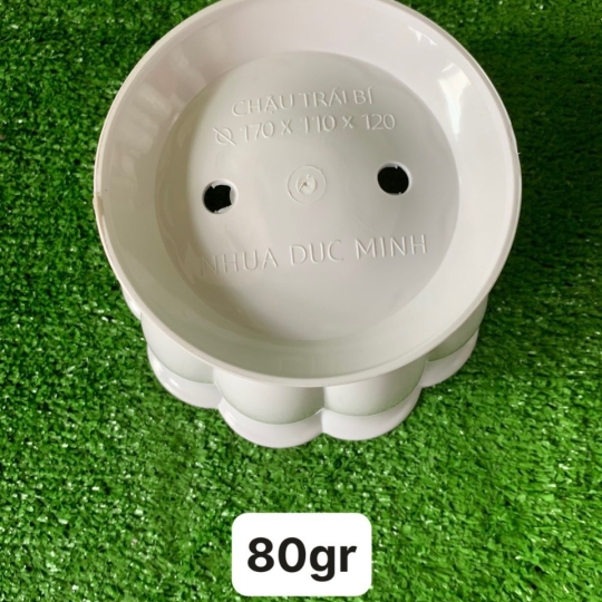 CHẬU TRÁI BÍ 01