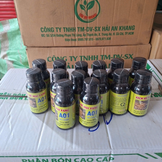 Kích Rể A 01
