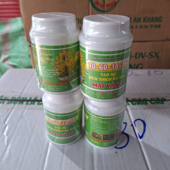 Hủ 10 60 10 Tạo Nụ kich thích ra hoa Mai Vàng