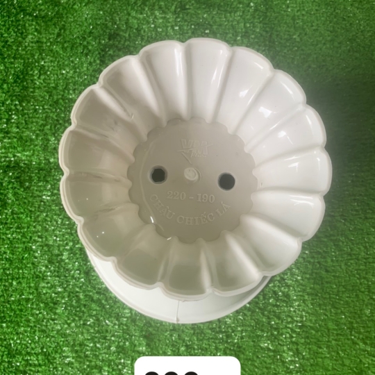 CHẬU LY LÁ NHỎ