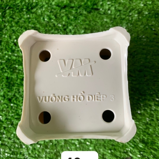 CHẬU HỒ ĐIỆP 3