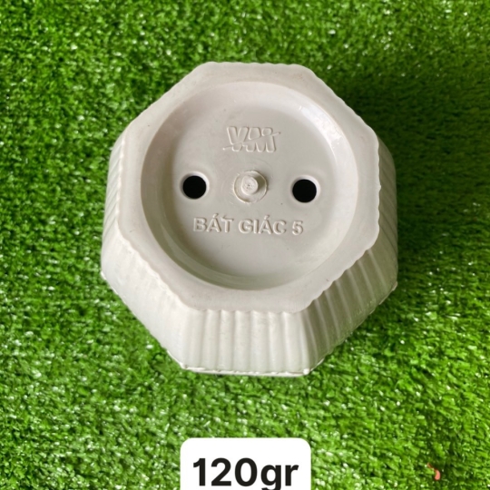CHẬU BÁC GIÁC 5