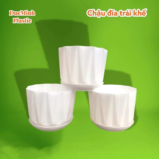 Chậu khía sọc