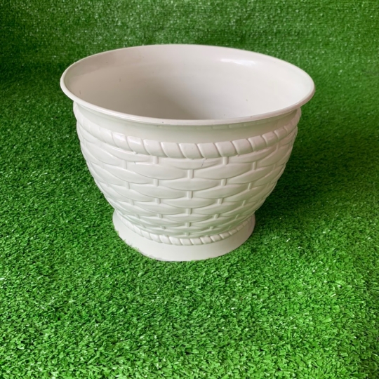 CHẬU ĐAN MÂY 4
