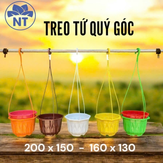 Chậu Treo Góc