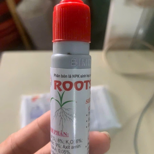 Kich rể nước Roost New