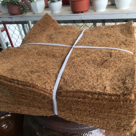 Sơ Dừa Miếng