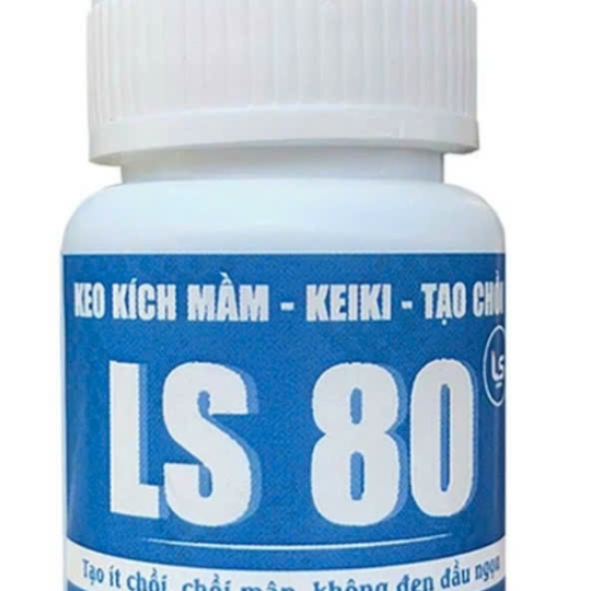 LS 80 Bật Mầm