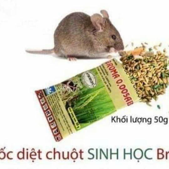 Thuốc Diệt Chuột Dạng Lúa