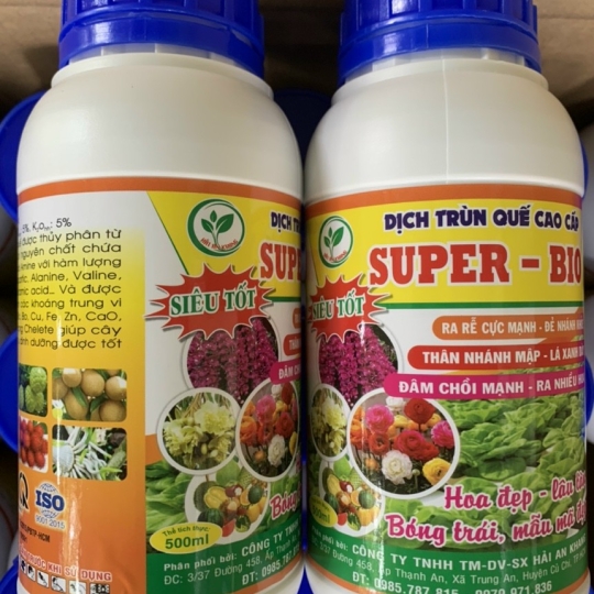 Dich Trùn Quế Cao Cấp