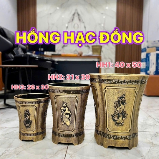 CHẬU HÔNG HAC ĐÔNG