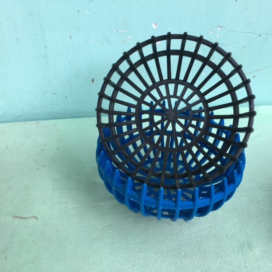 chậu lan Trái BÍ Fi 23cm