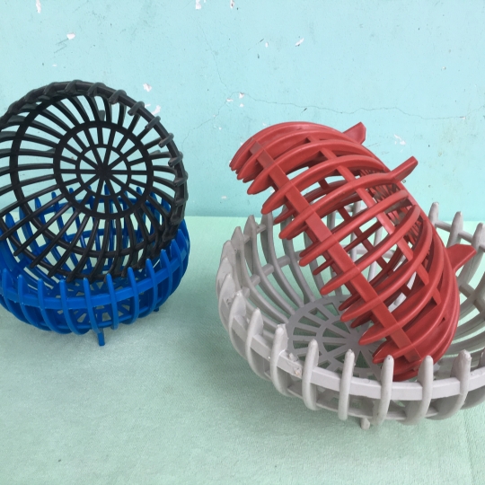 chậu lan Trái BÍ Fi 23cm