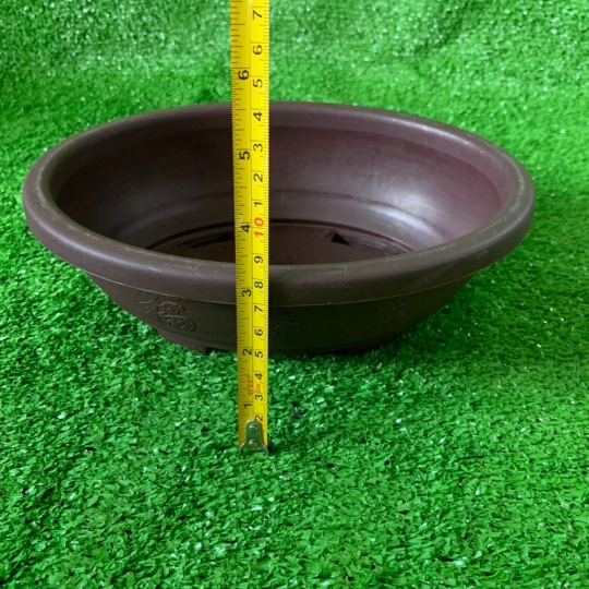 CHẬU BONSAI 250
