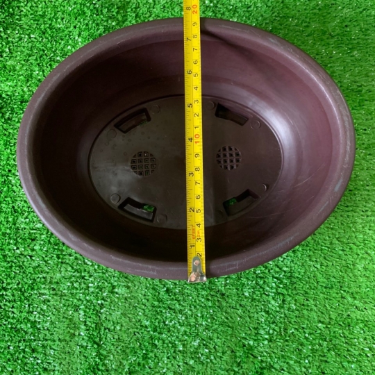CHẬU BONSAI 250