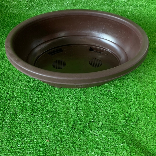 CHẬU BONSAI 360
