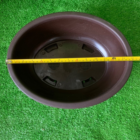 CHẬU BONSAI 360