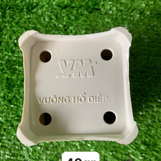 HỒ ĐIỆP 3