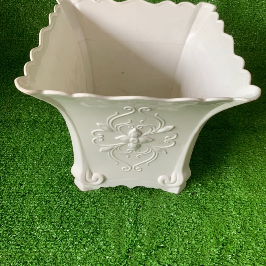 CHẬU HỒ ĐIỆP 1