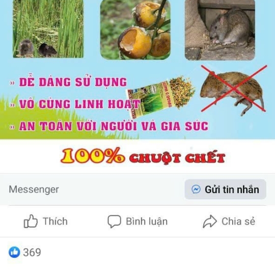 Thuốc Diệt Chuột