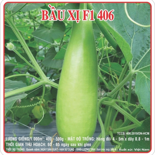 hạt giống gói