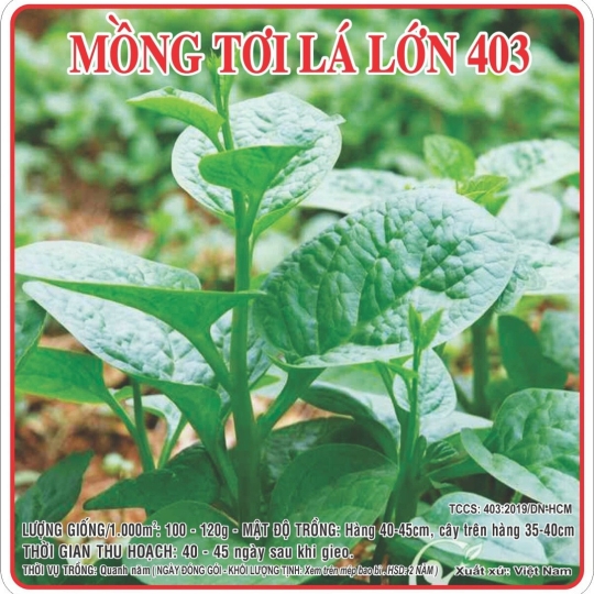 hạt giống gói