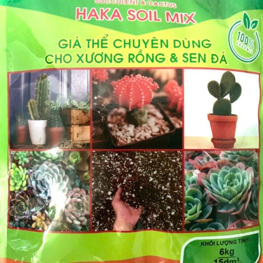 Giá Thể Trồng Sen Đa , Xương Rồng 