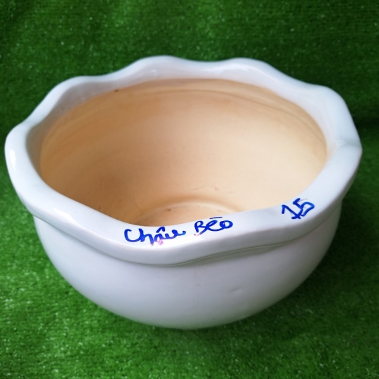 Chậu Sứ bèo Bộ 3